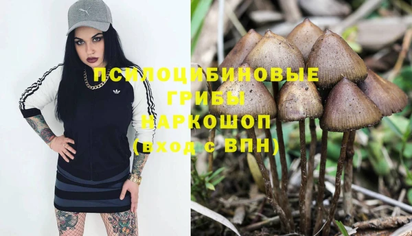 ГАЛЛЮЦИНОГЕННЫЕ ГРИБЫ Липки
