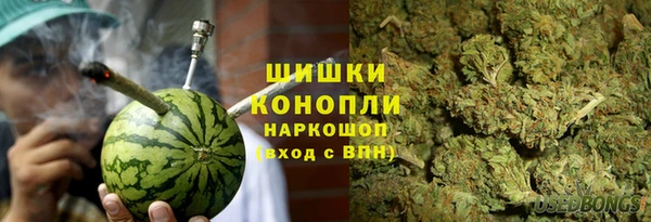 ГАЛЛЮЦИНОГЕННЫЕ ГРИБЫ Липки