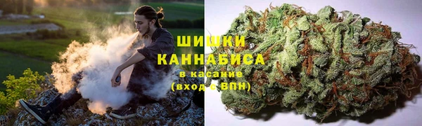 ГАЛЛЮЦИНОГЕННЫЕ ГРИБЫ Липки
